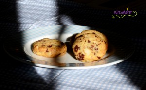 Schoko Cookies dunkel