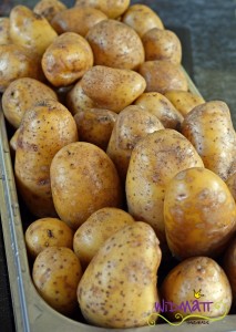 widmatt.ch Kartoffelsalat mit Maggi aka Liebstöckel 